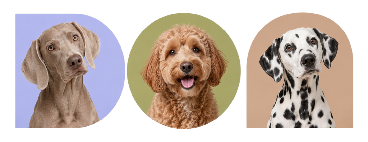 Tres retratos de mascotas